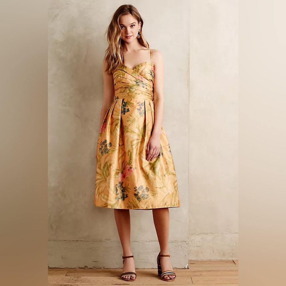 James Coviello Botanica Dress